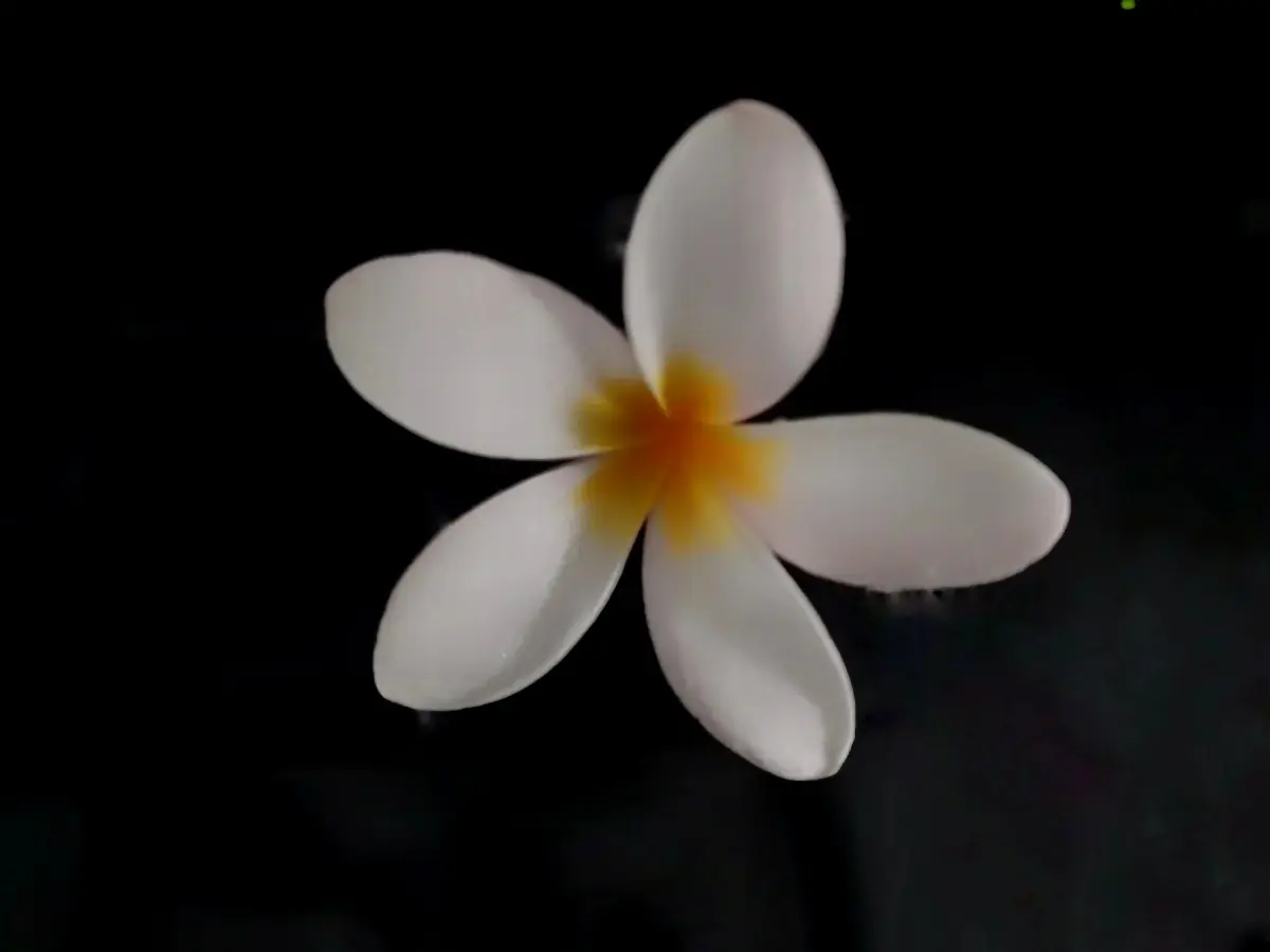 Resize,w 360,h 240