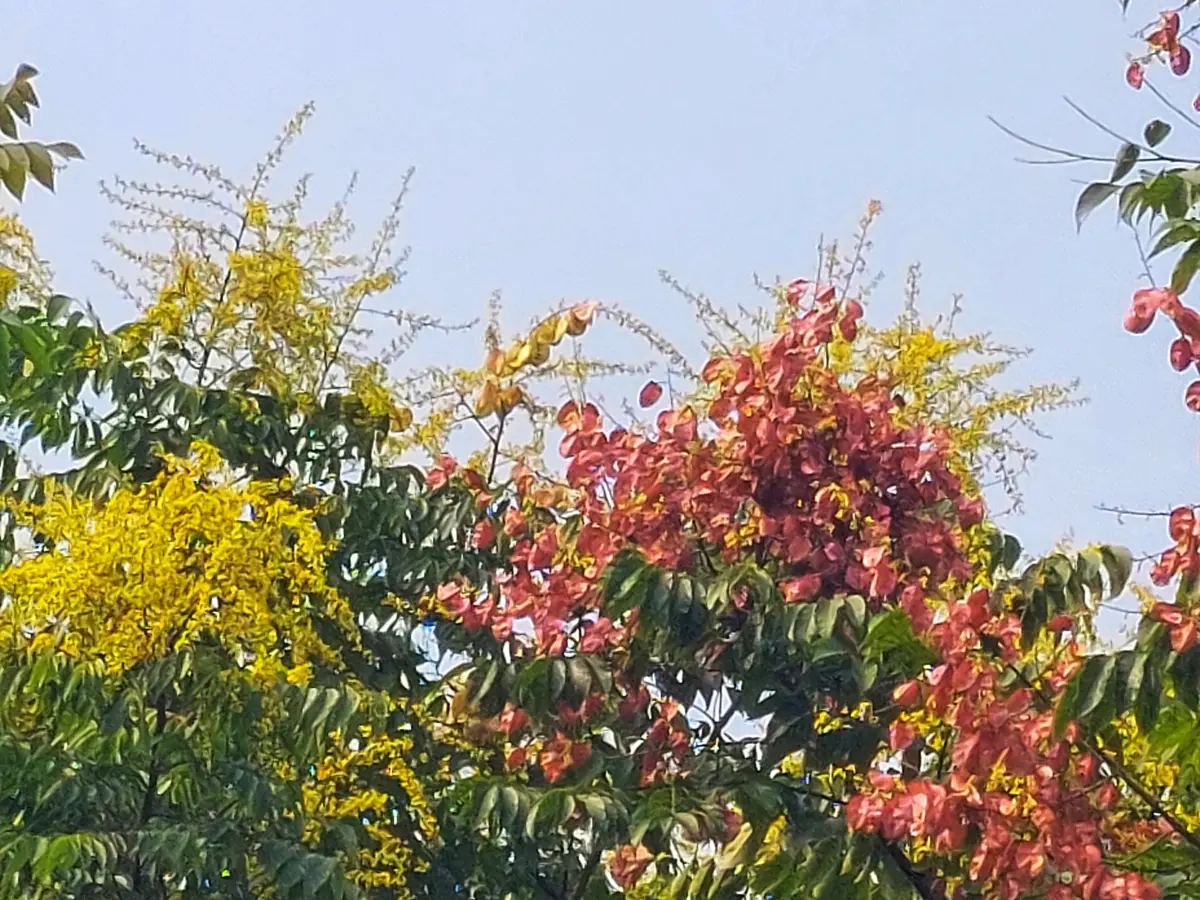 Resize,w 360,h 240