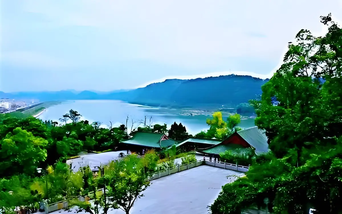 Resize,w 360,h 240