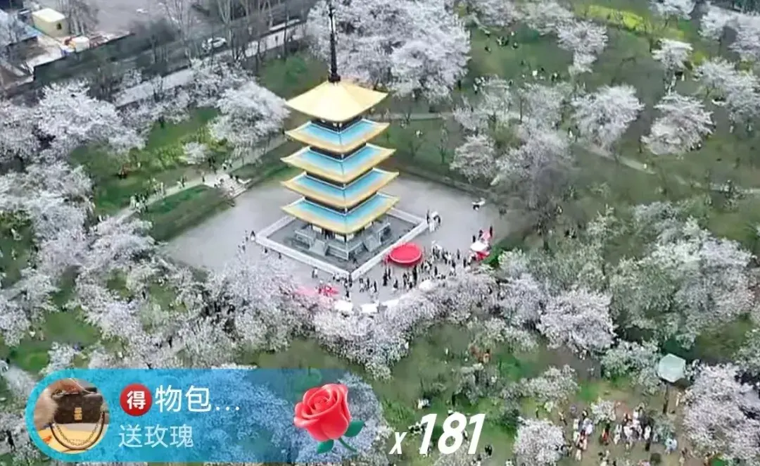 Resize,w 360,h 240
