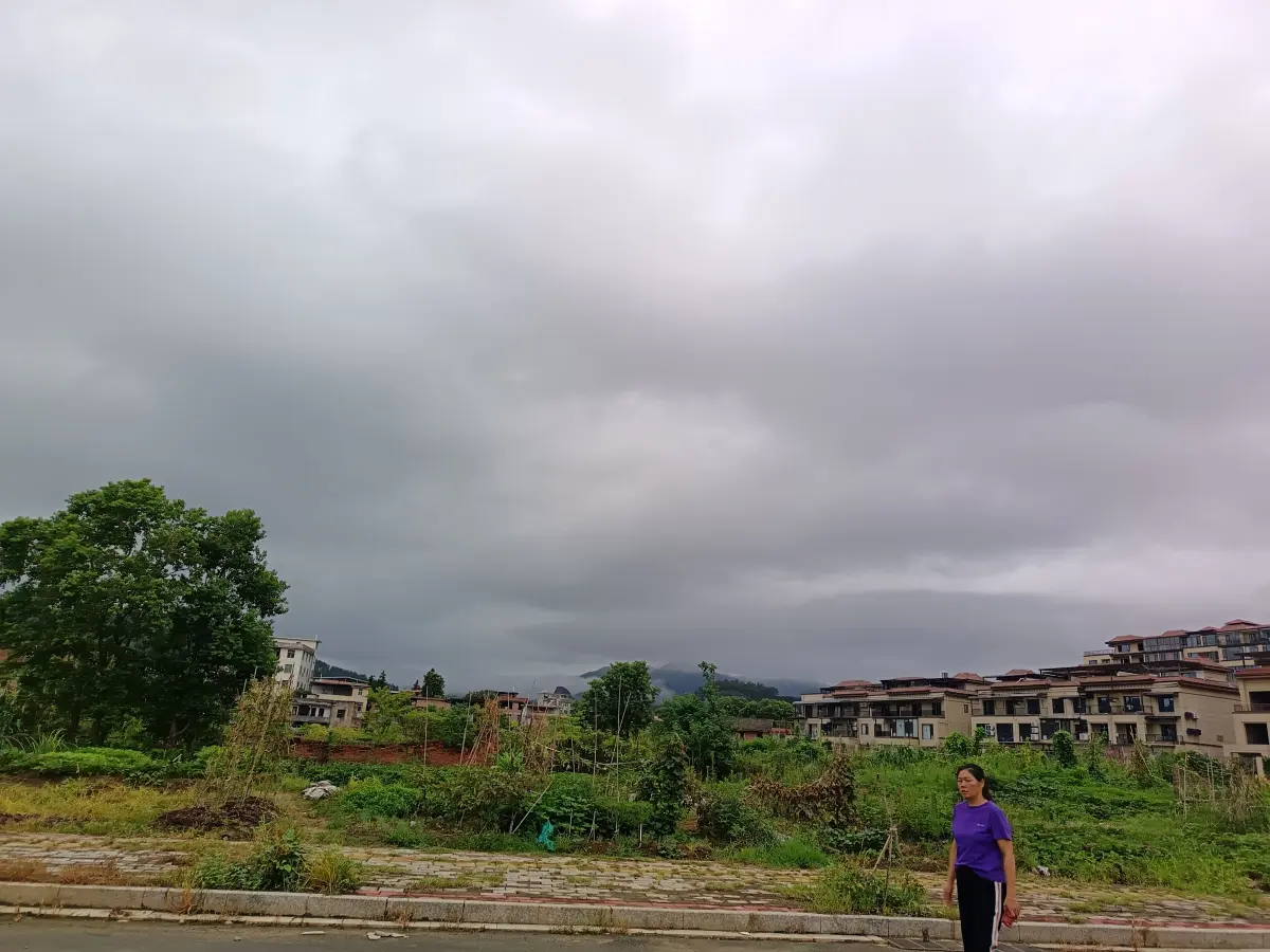 Resize,w 360,h 240