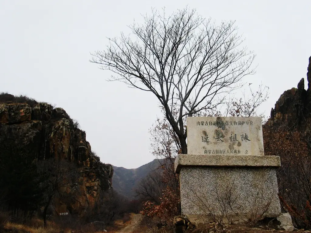 Resize,w 360,h 240