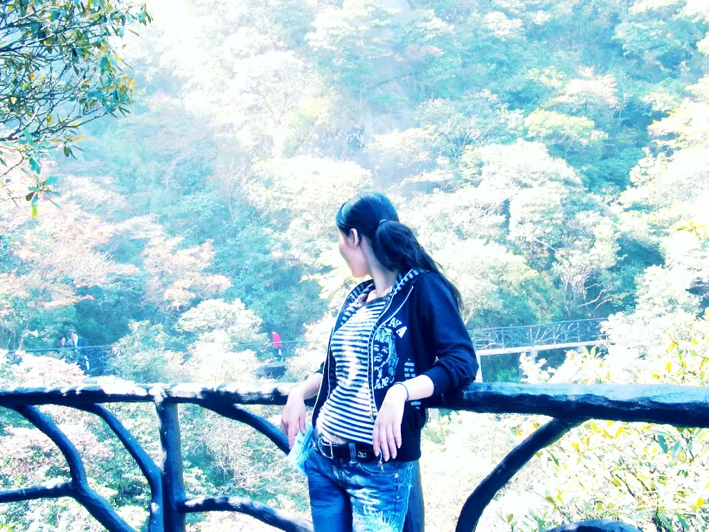 Resize,w 360,h 240