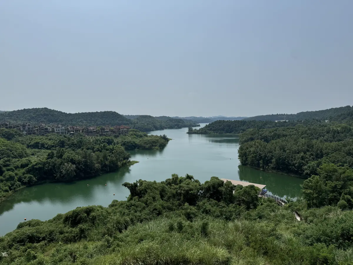 Resize,w 360,h 240