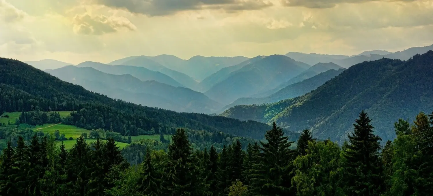 Resize,w 360,h 240