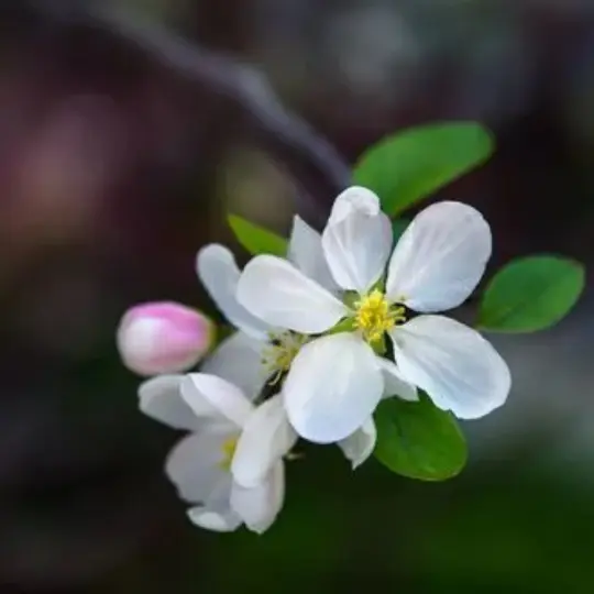 180