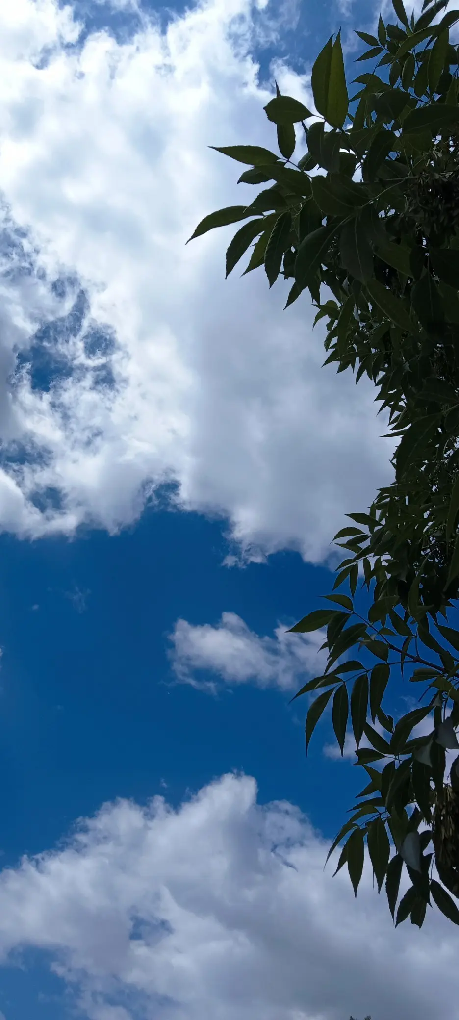 Resize,w 360,h 240