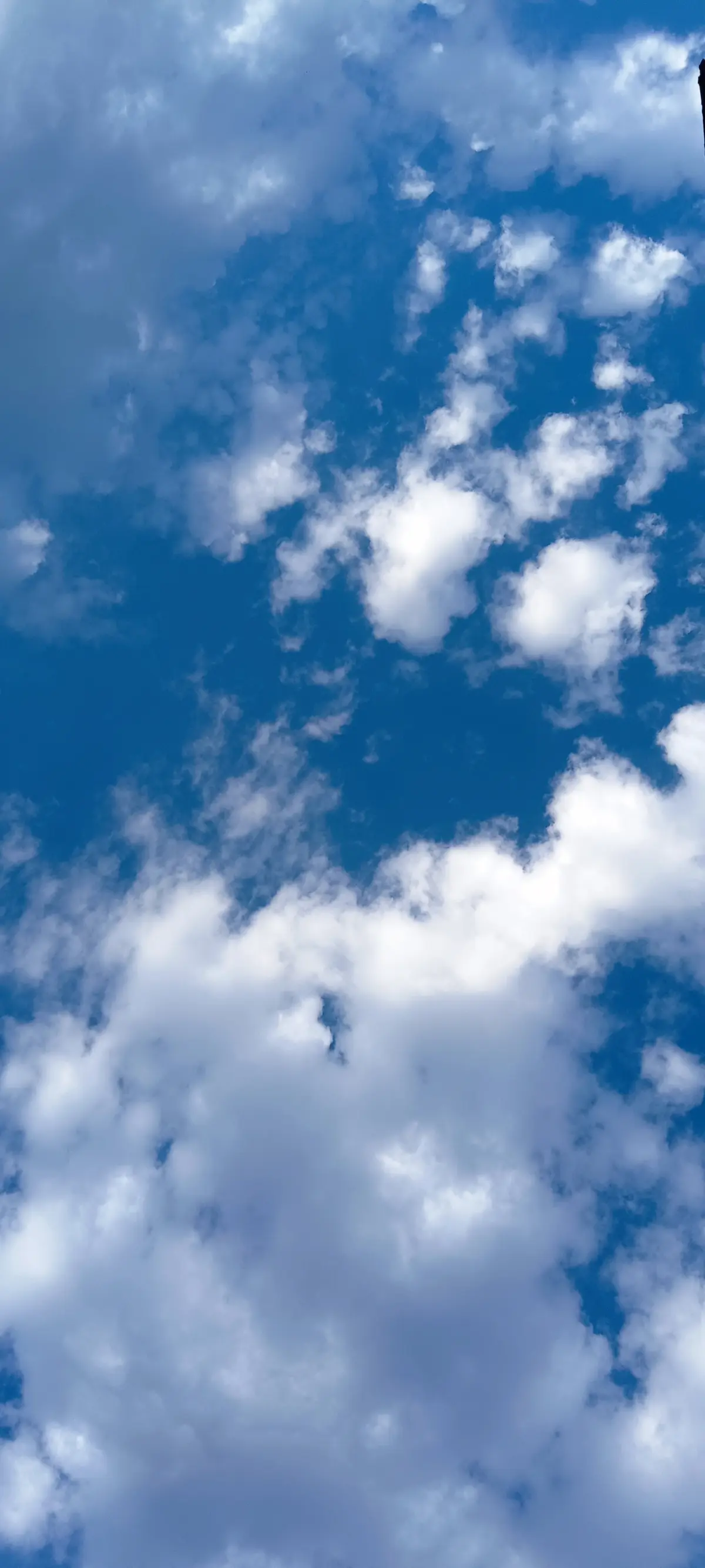 Resize,w 360,h 240