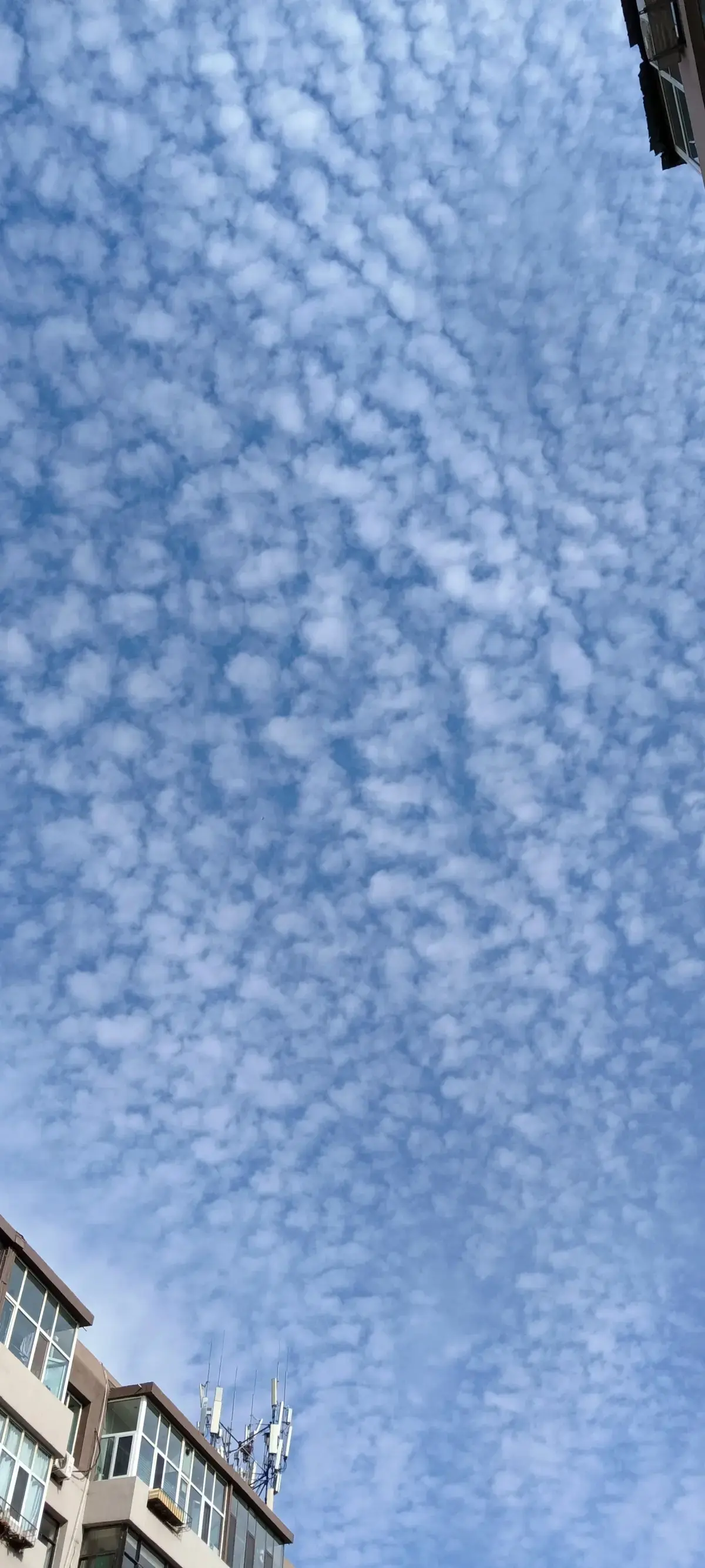 Resize,w 360,h 240