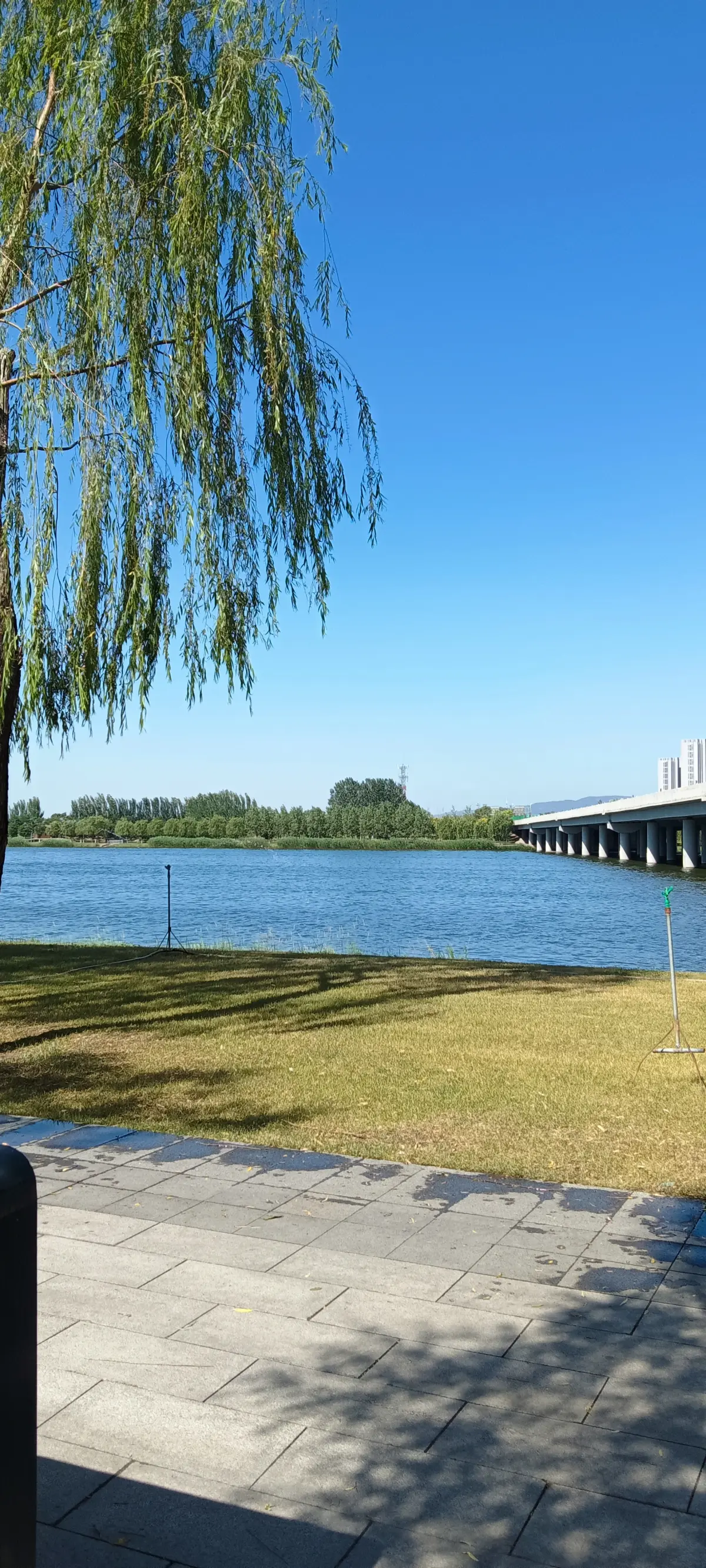 Resize,w 360,h 240