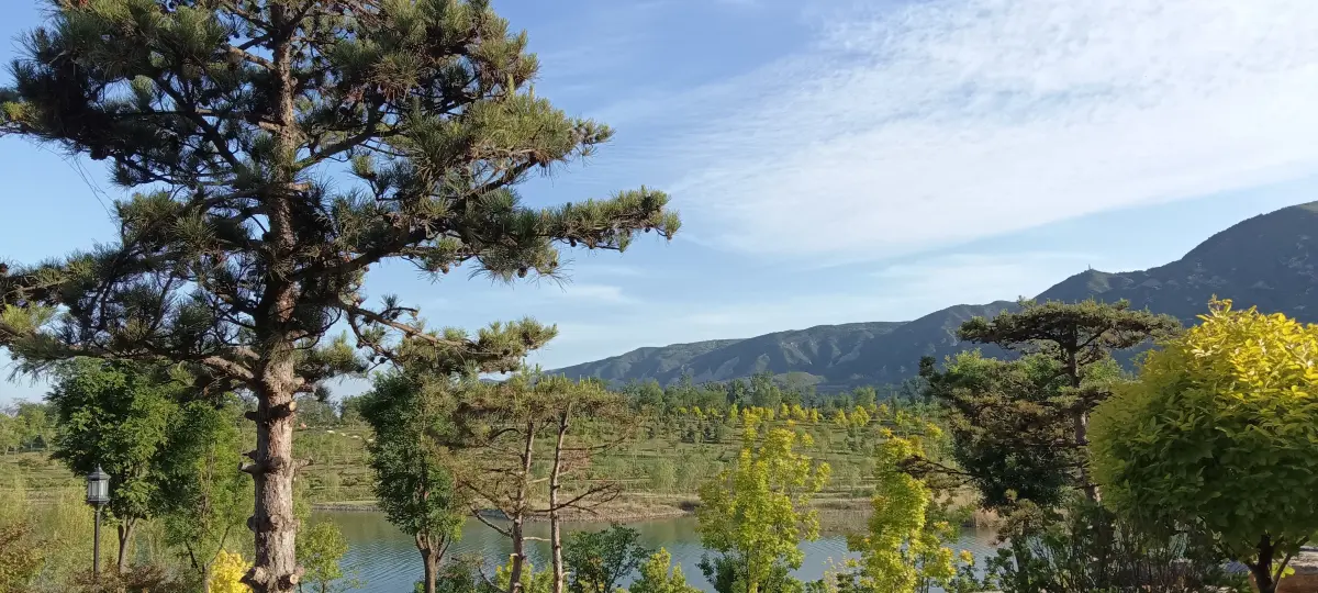 Resize,w 360,h 240