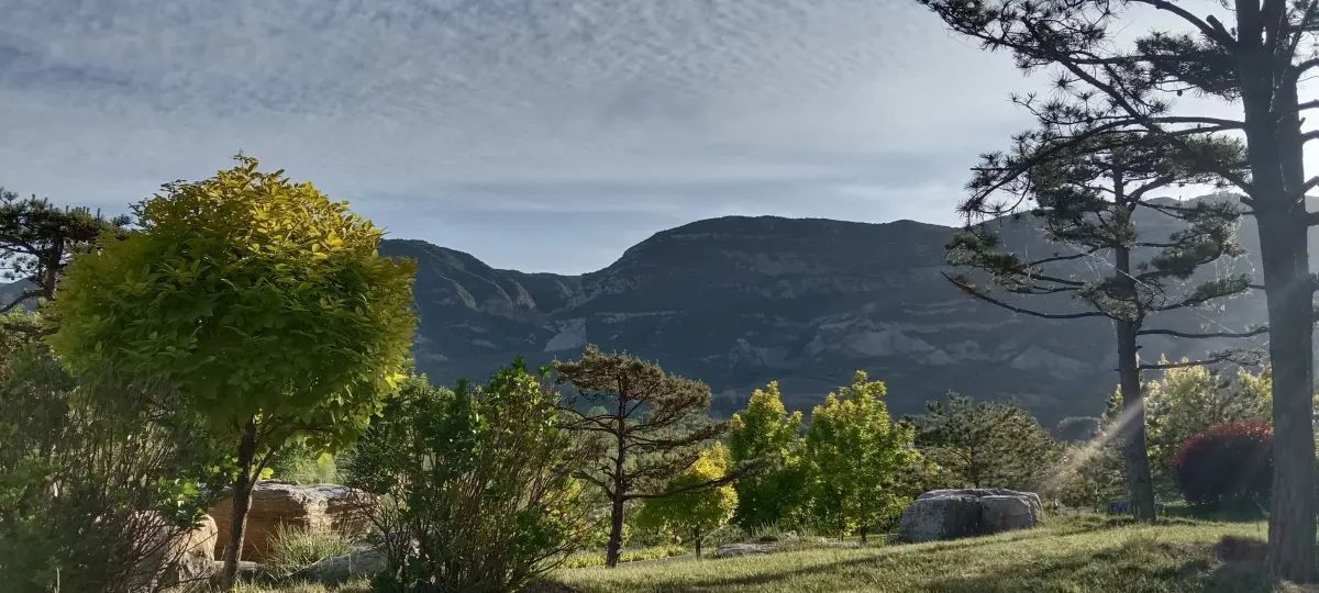 Resize,w 360,h 240