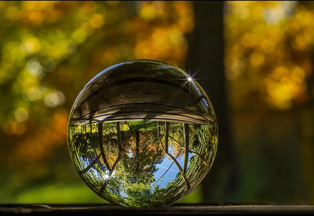 Resize,w 360,h 240