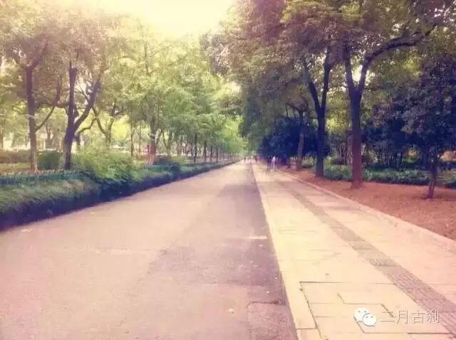 Resize,w 360,h 240