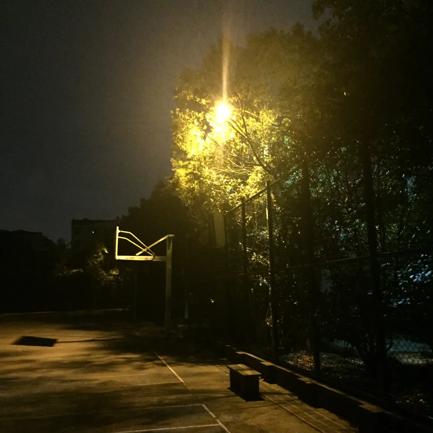 Resize,w 360,h 240