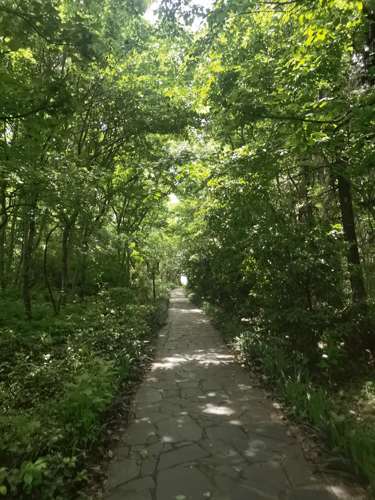 Resize,w 360,h 240