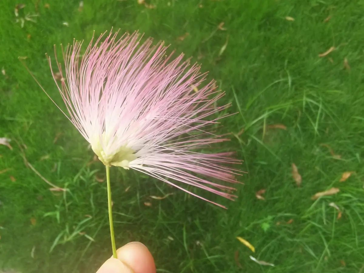 Resize,w 360,h 240