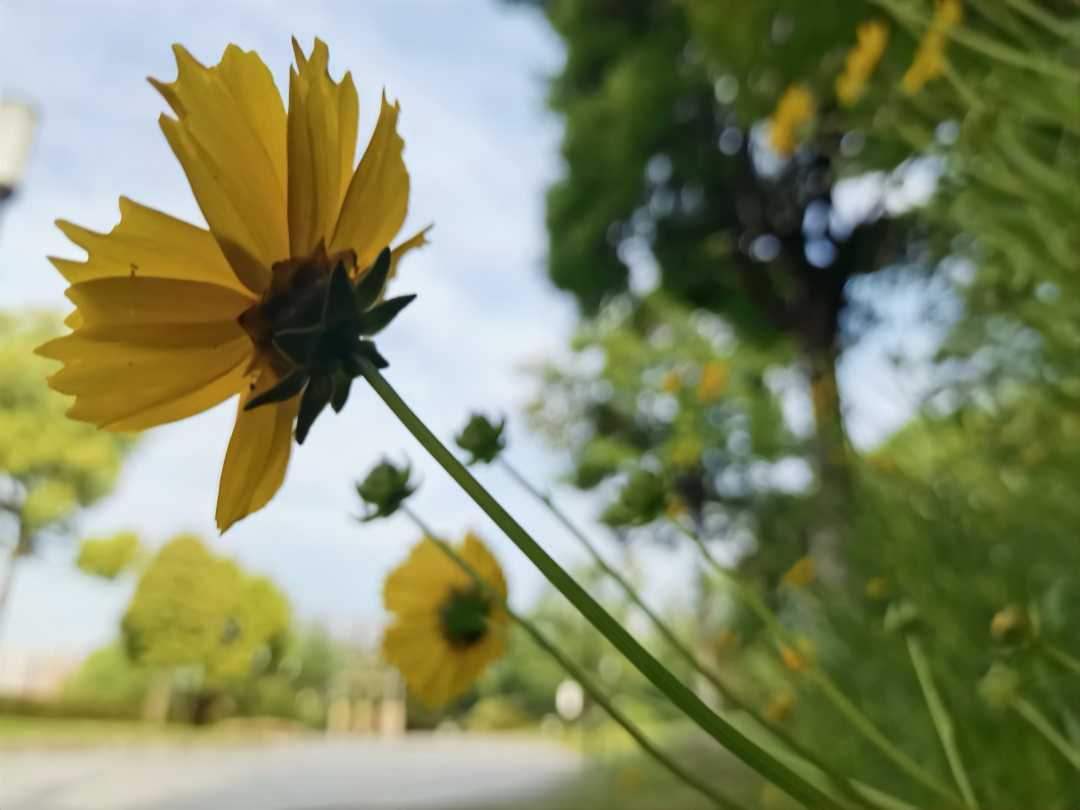 Resize,w 360,h 240
