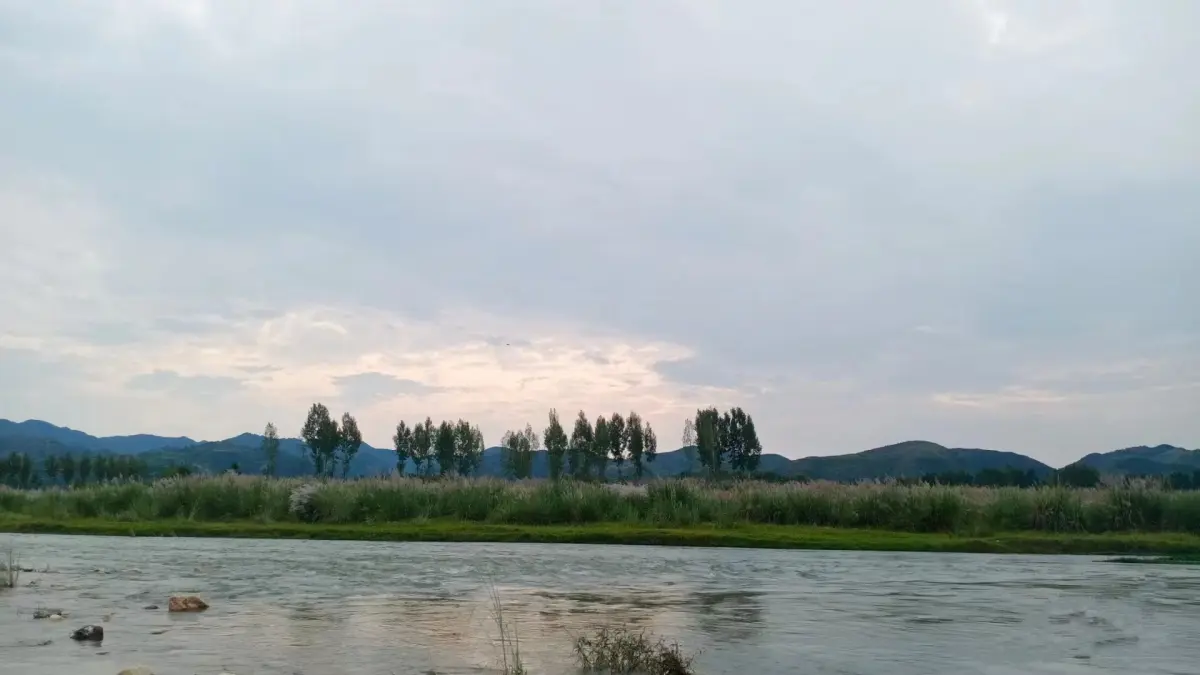 Resize,w 360,h 240