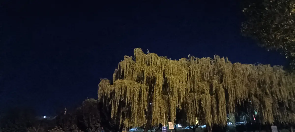 Resize,w 360,h 240