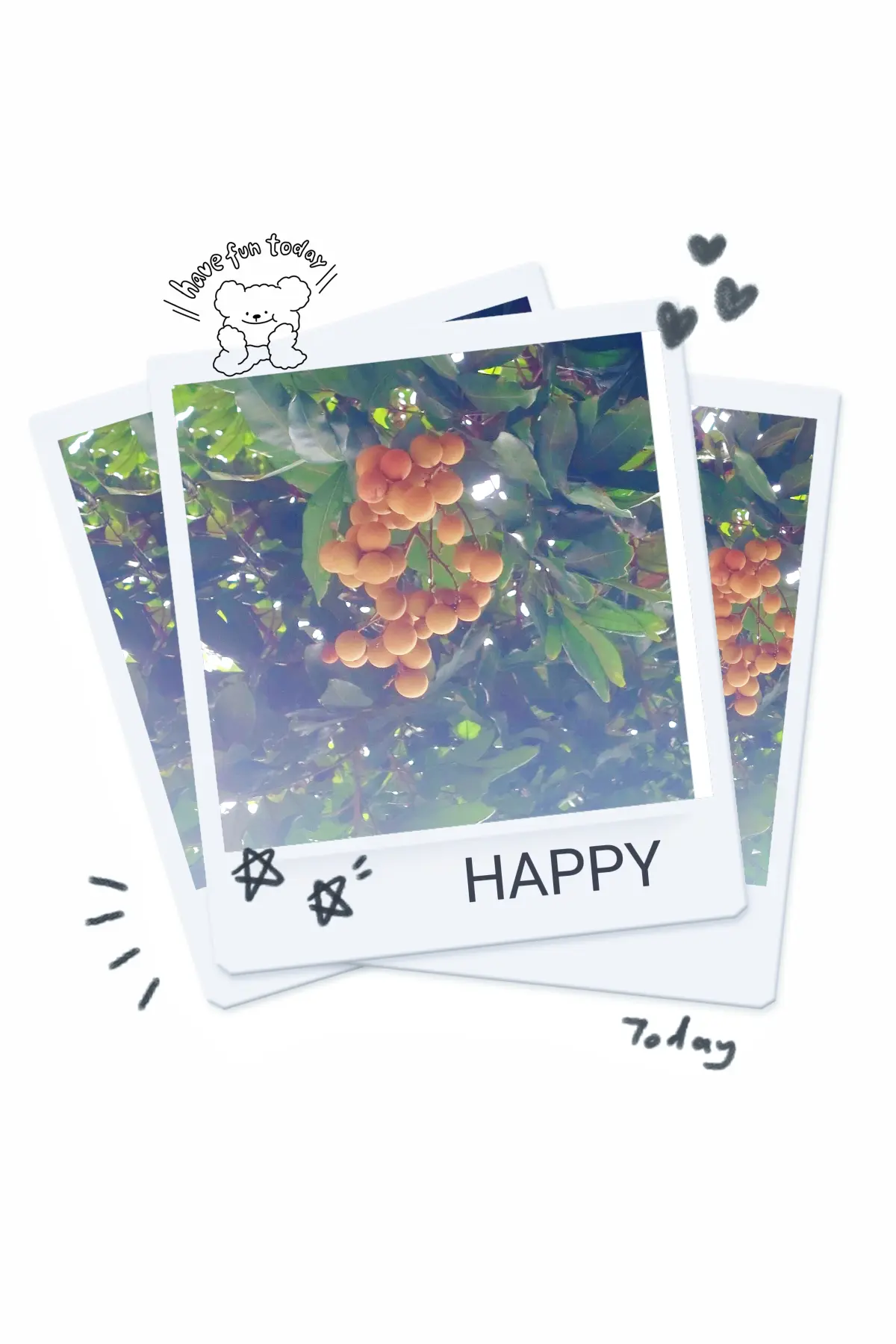 Resize,w 360,h 240