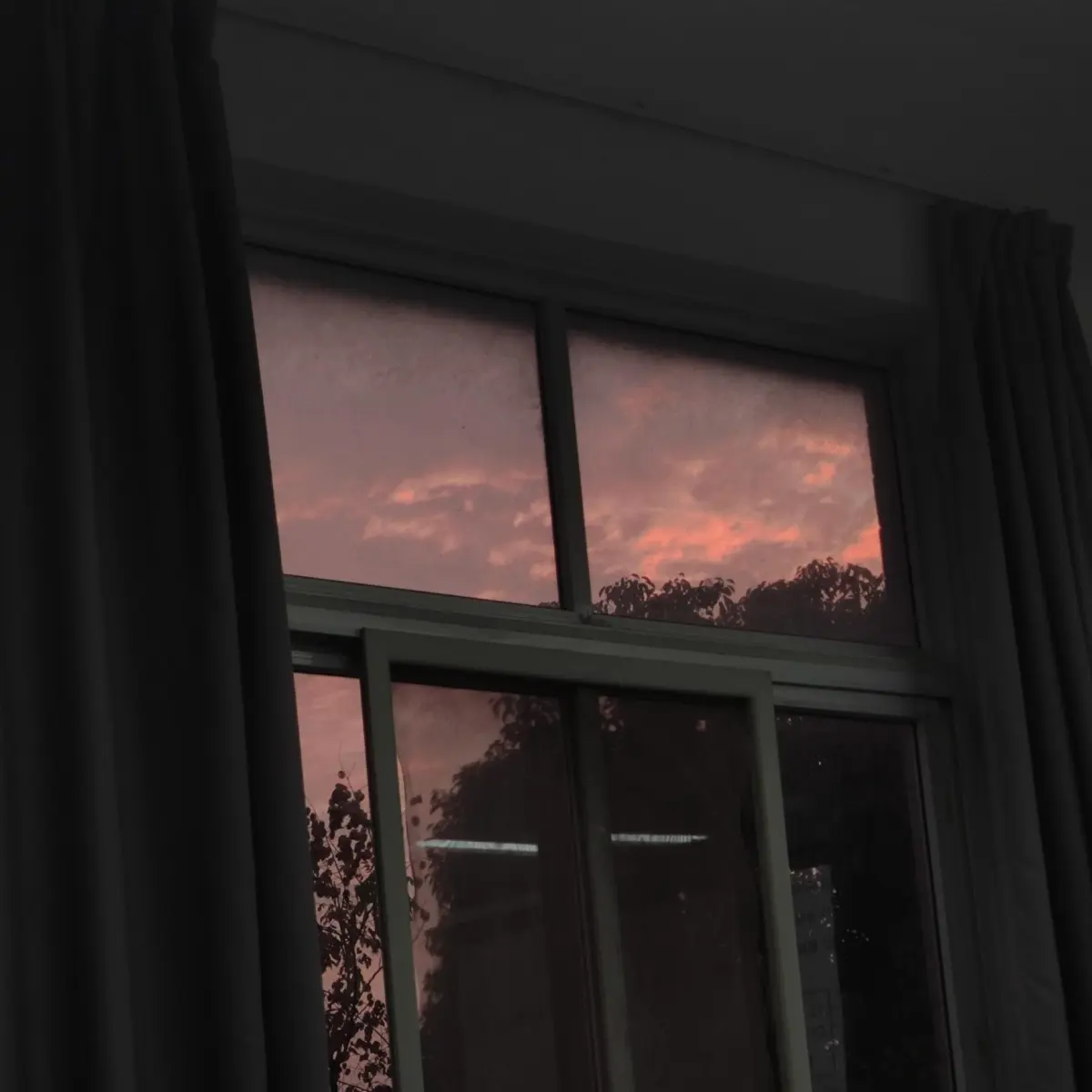 Resize,w 360,h 240