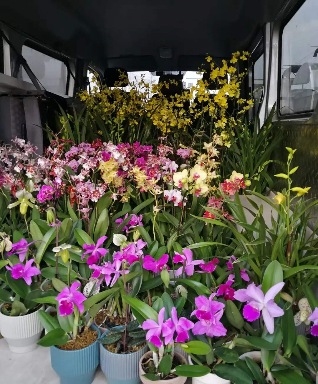 Resize,w 360,h 240