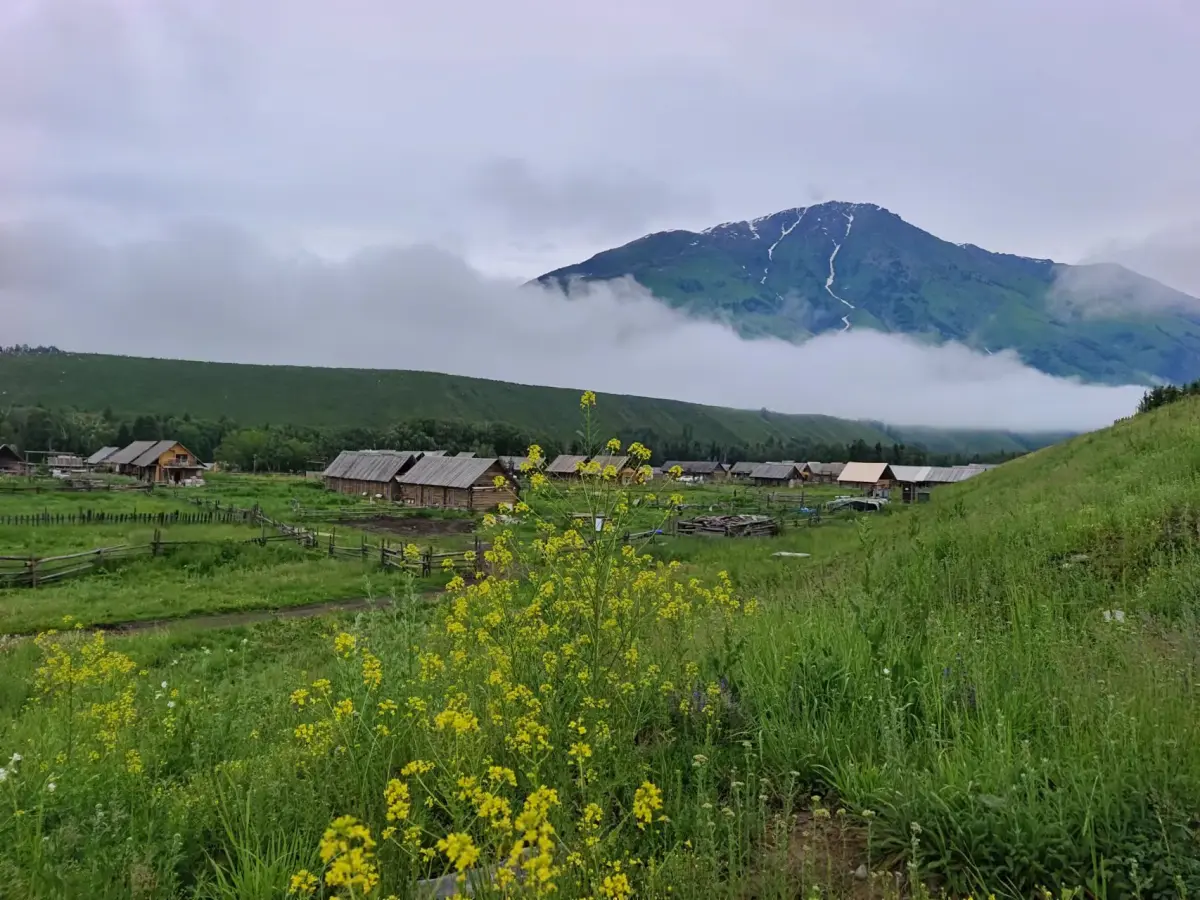 Resize,w 360,h 240