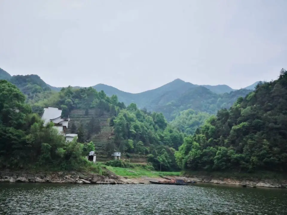 Resize,w 360,h 240