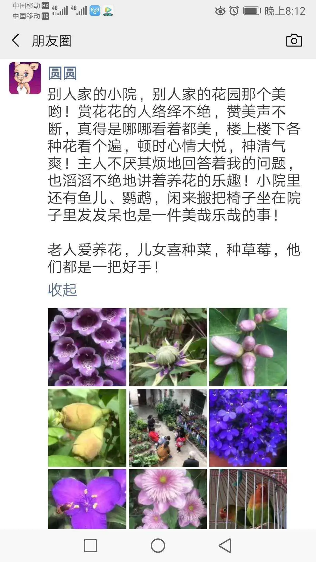 Resize,w 360,h 240