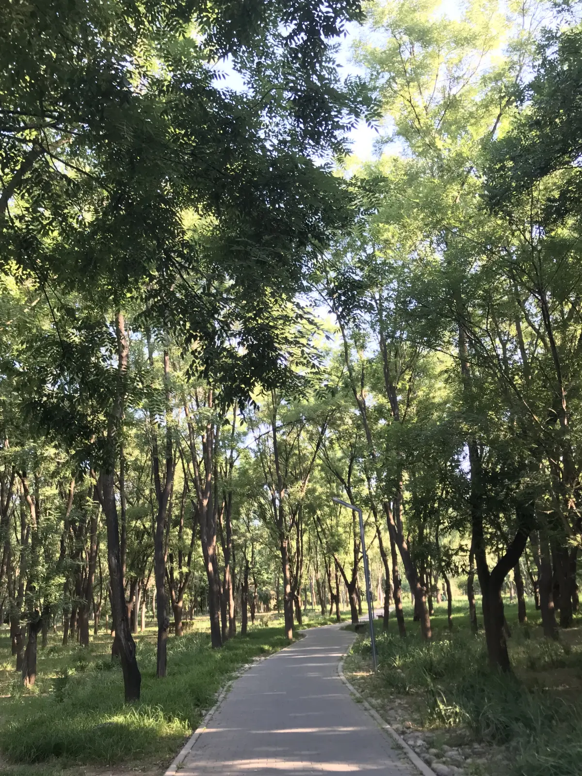 Resize,w 360,h 240