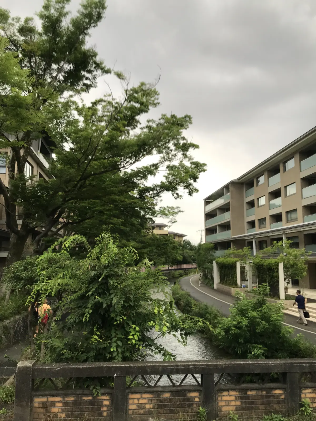 Resize,w 360,h 240