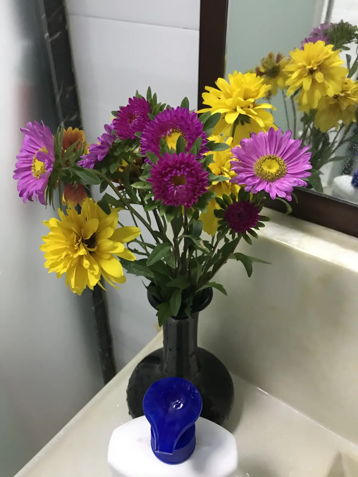 Resize,w 360,h 240