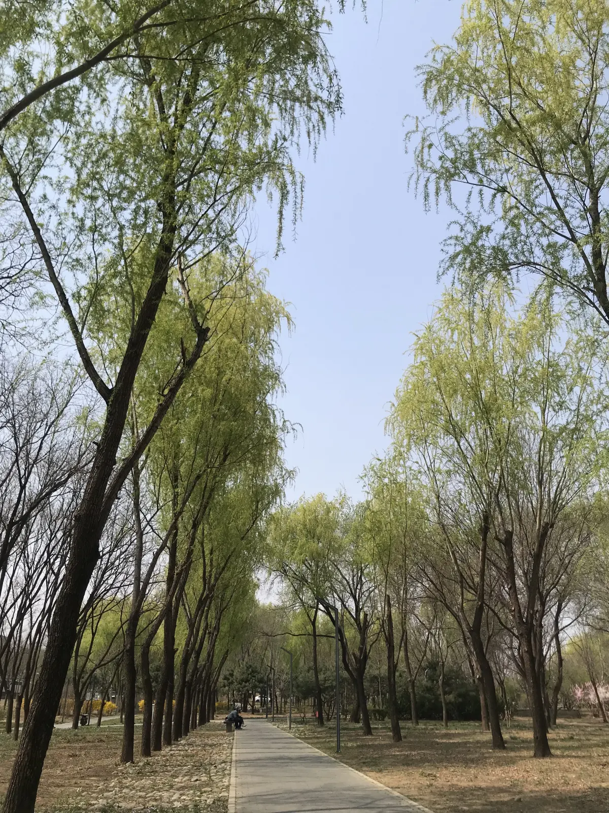 Resize,w 360,h 240