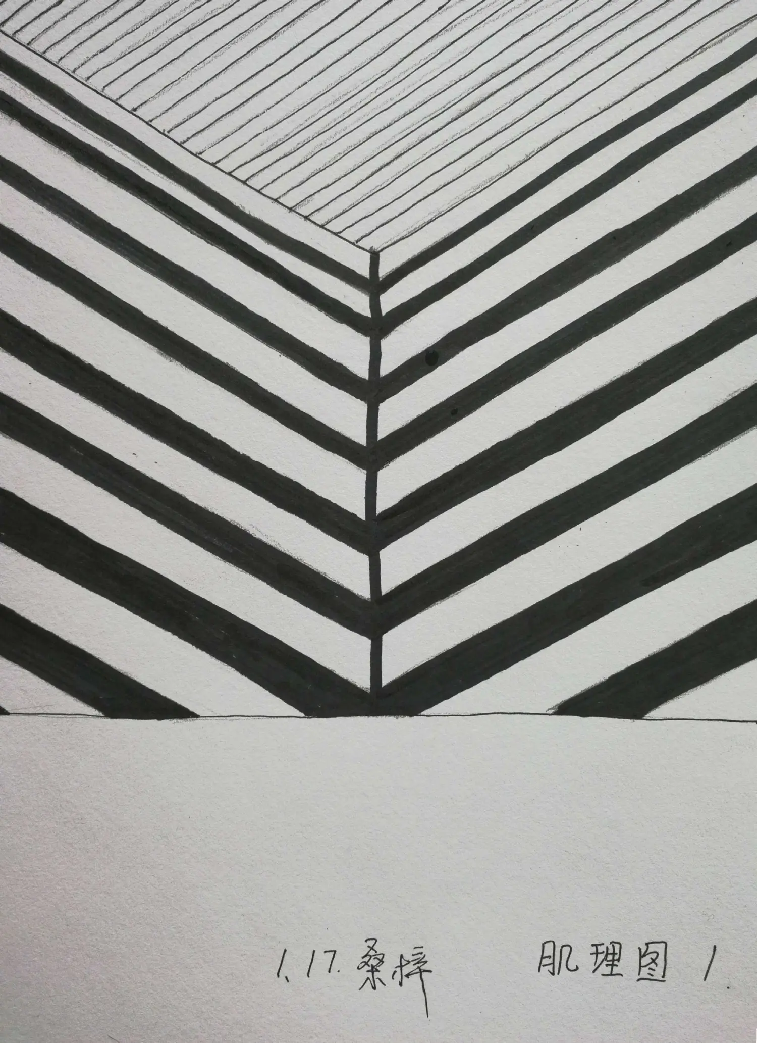 Resize,w 360,h 240