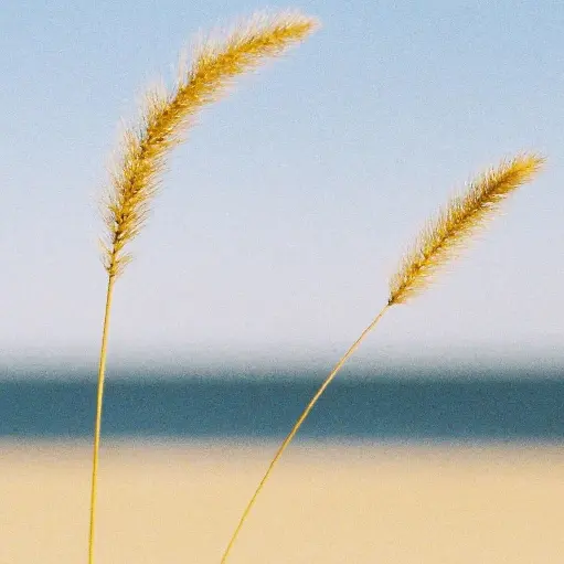 180
