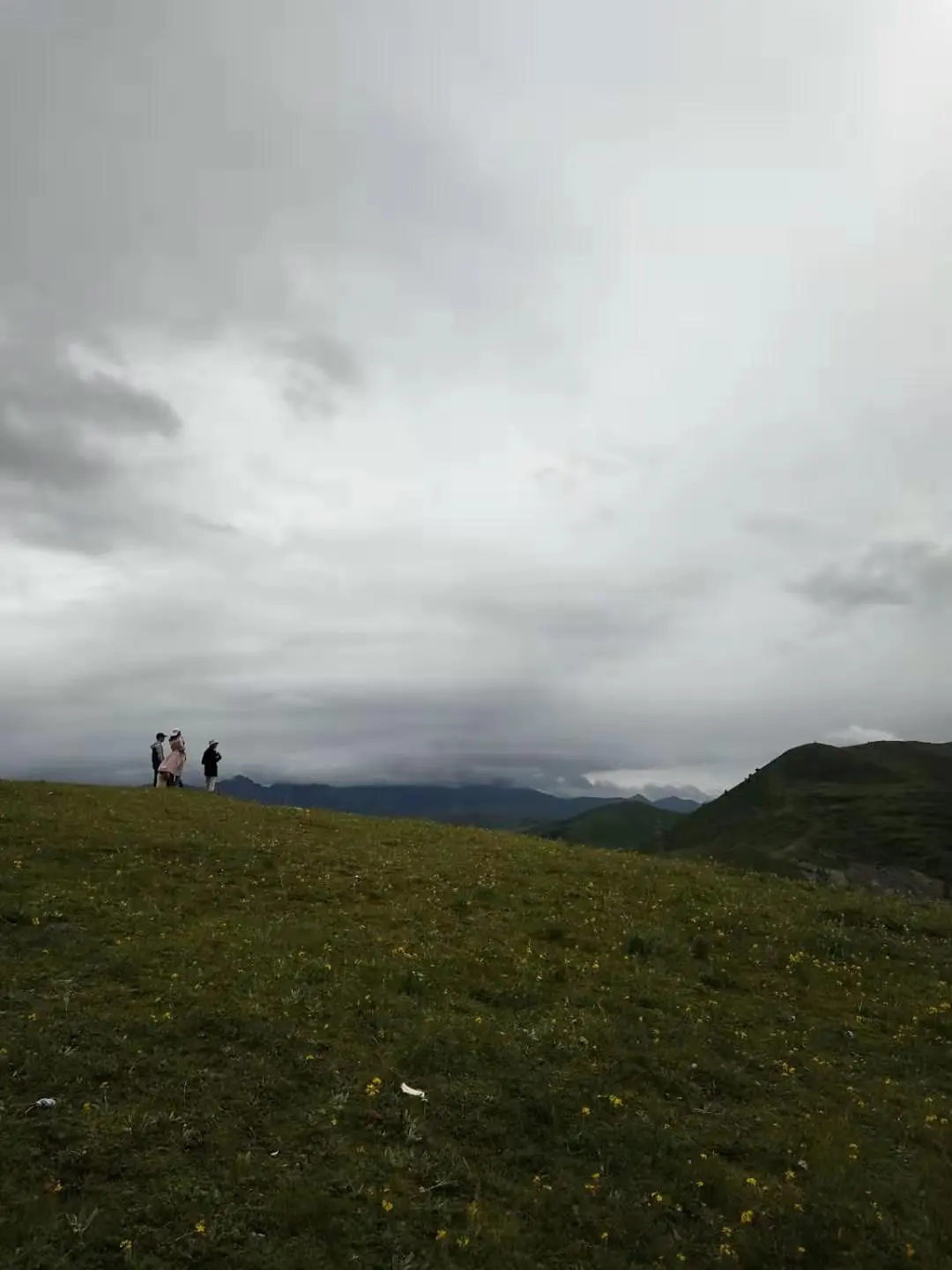 Resize,w 360,h 240