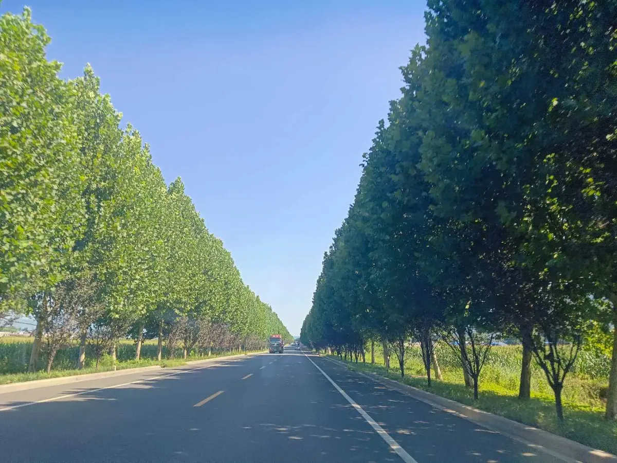 Resize,w 360,h 240