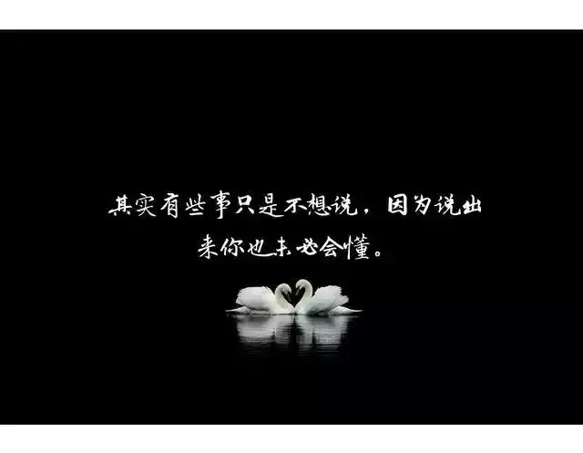 Resize,w 360,h 240