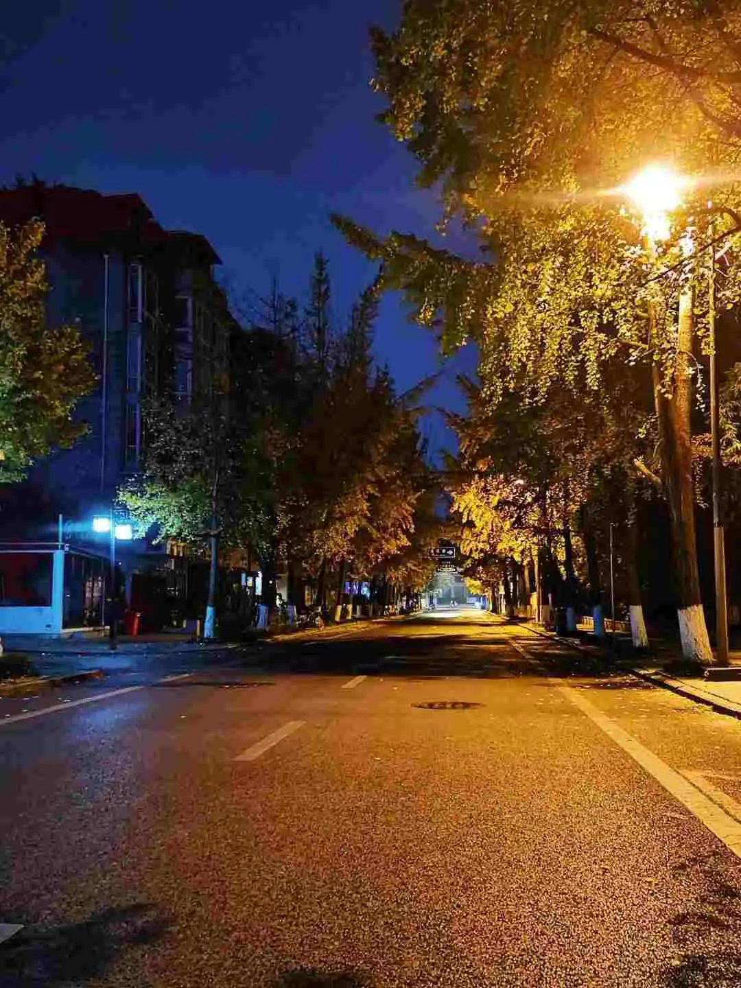 Resize,w 360,h 240