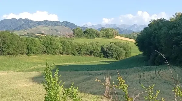 Resize,w 360,h 240