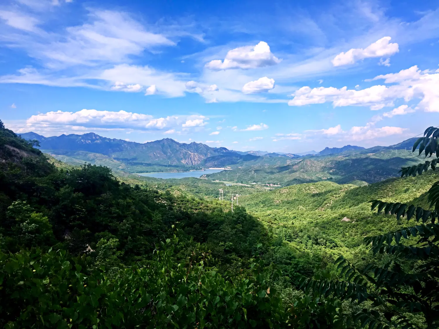 Resize,w 360,h 240
