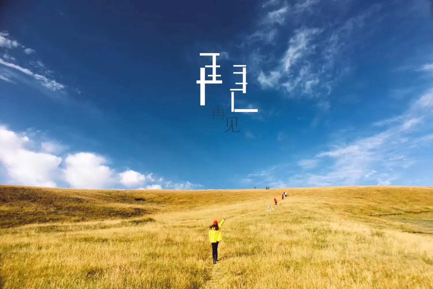 Resize,w 360,h 240