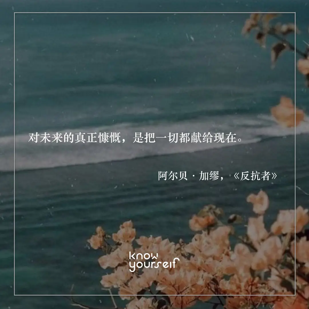 Resize,w 360,h 240