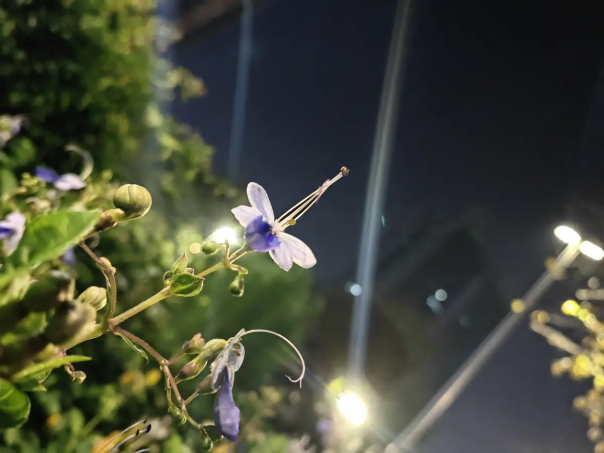 Resize,w 360,h 240