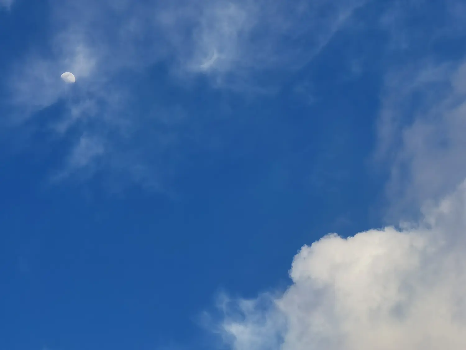 Resize,w 360,h 240