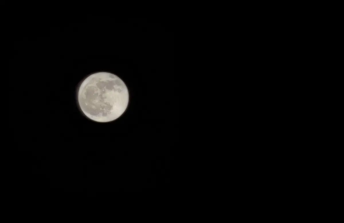 Resize,w 360,h 240