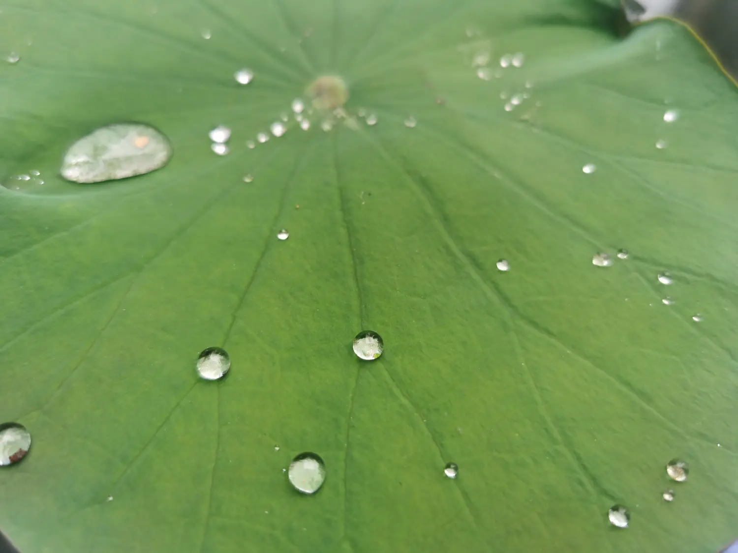 Resize,w 360,h 240
