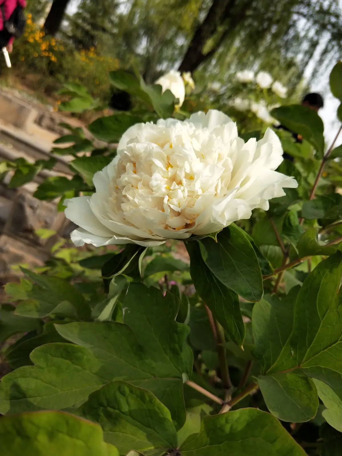 Resize,w 360,h 240