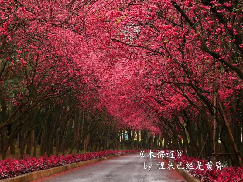Resize,w 360,h 240